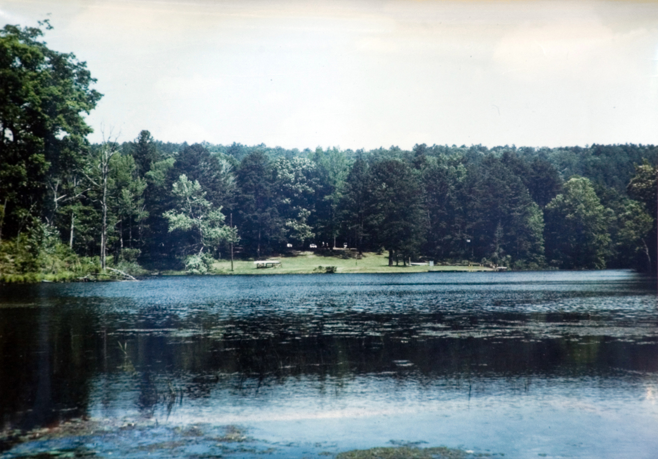 Scenic view of a lake and the surrounding wooded area.