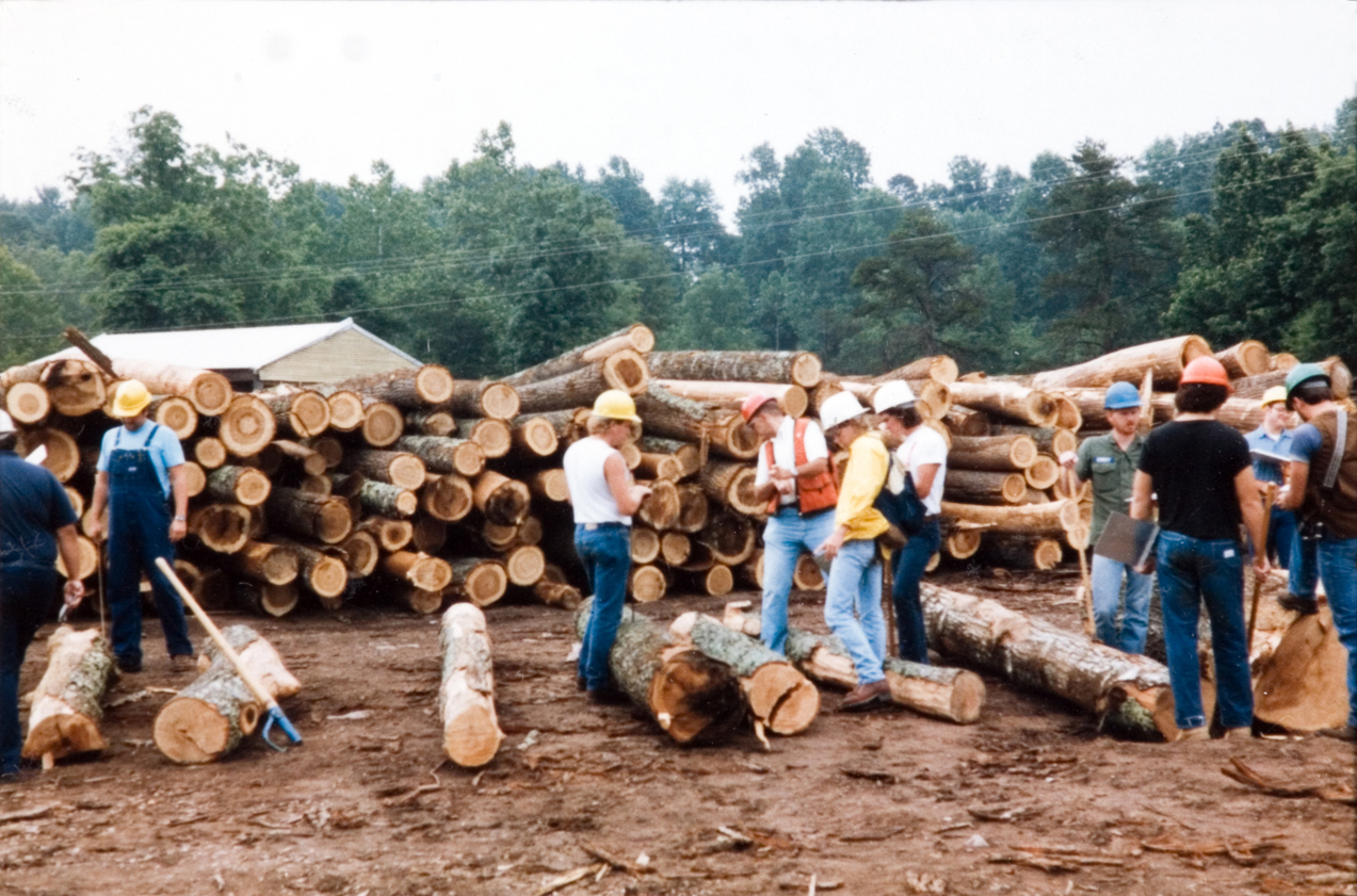 A group of students in hardhats attending to a row of logs in a lumber yard.
