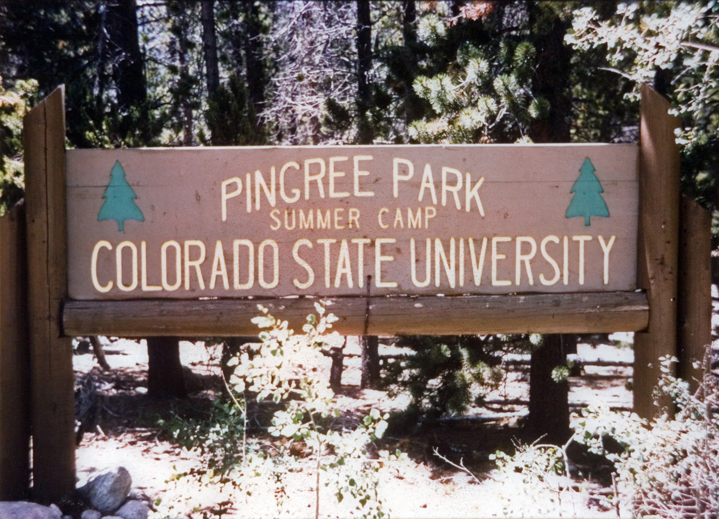 A wooden Pingree Park summer camp welcome signage in a snowy woods.
