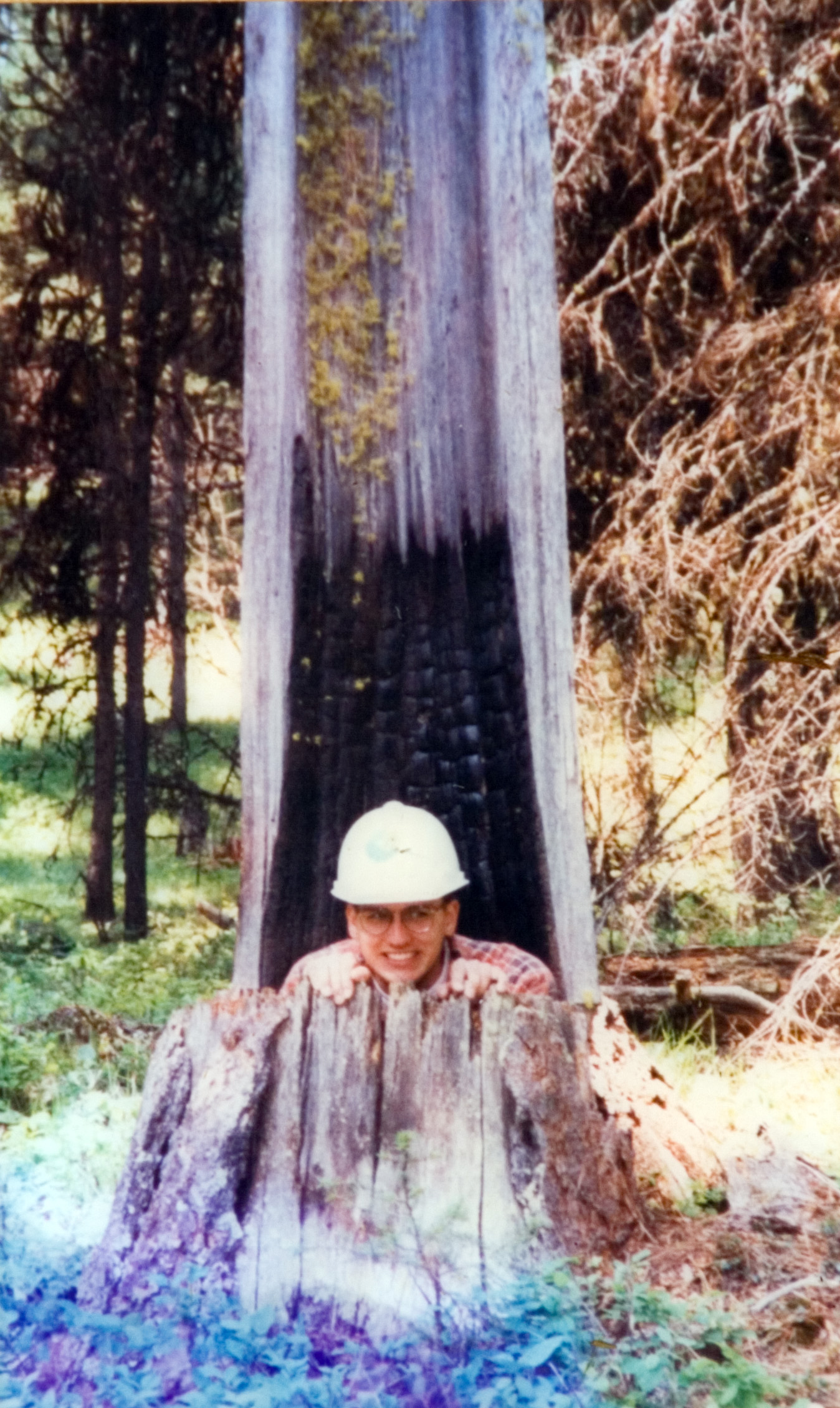 A student in a white hardhat sitting behind the stump of a tree that was split.