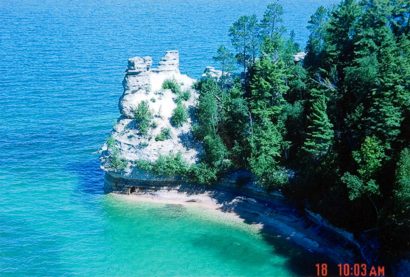 The top of the cliff and surrounding area that is densely covered with green trees.