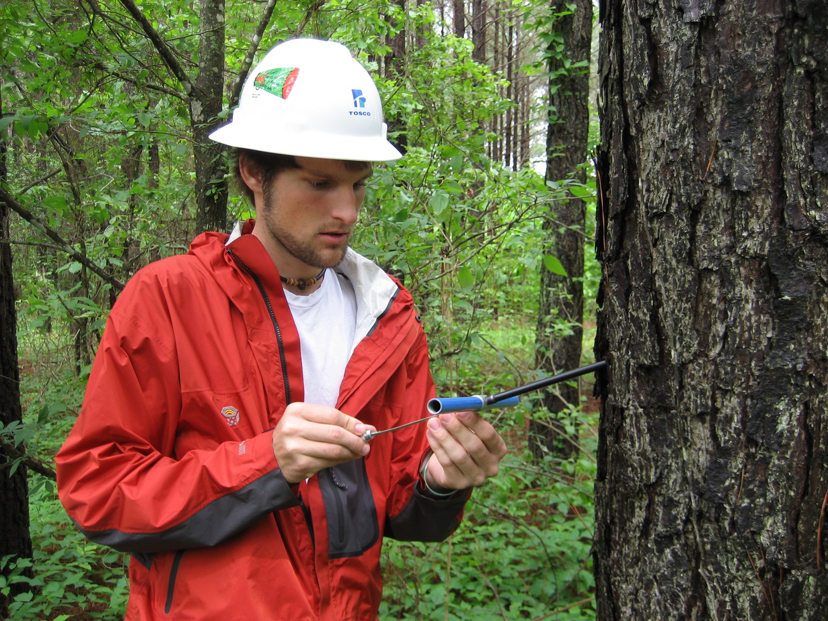 A student wearing a white hardhat using a tool next to a tree.