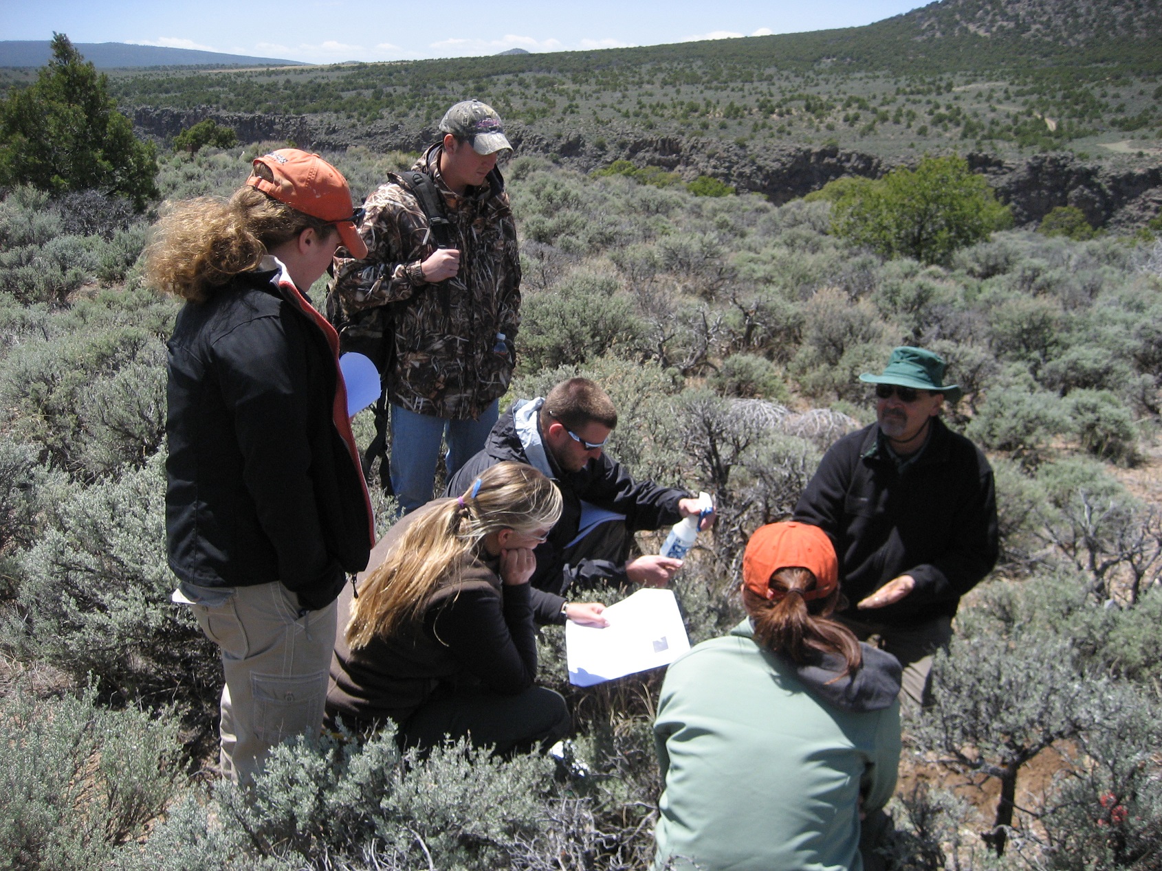 A group of participants down in the brush working on clipboards in a valley. 