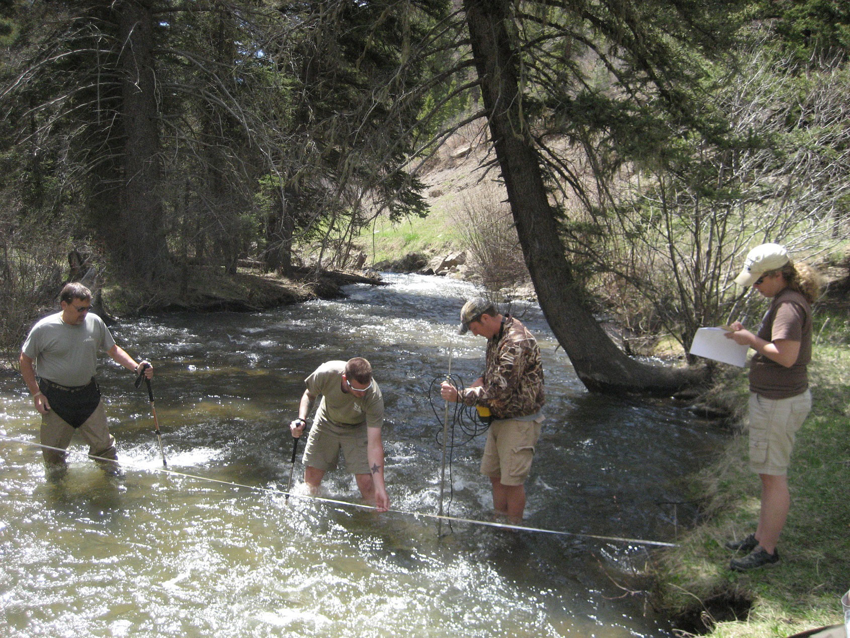 A group of students standing in and around a stream collecting information and writing it on their clipboards. 