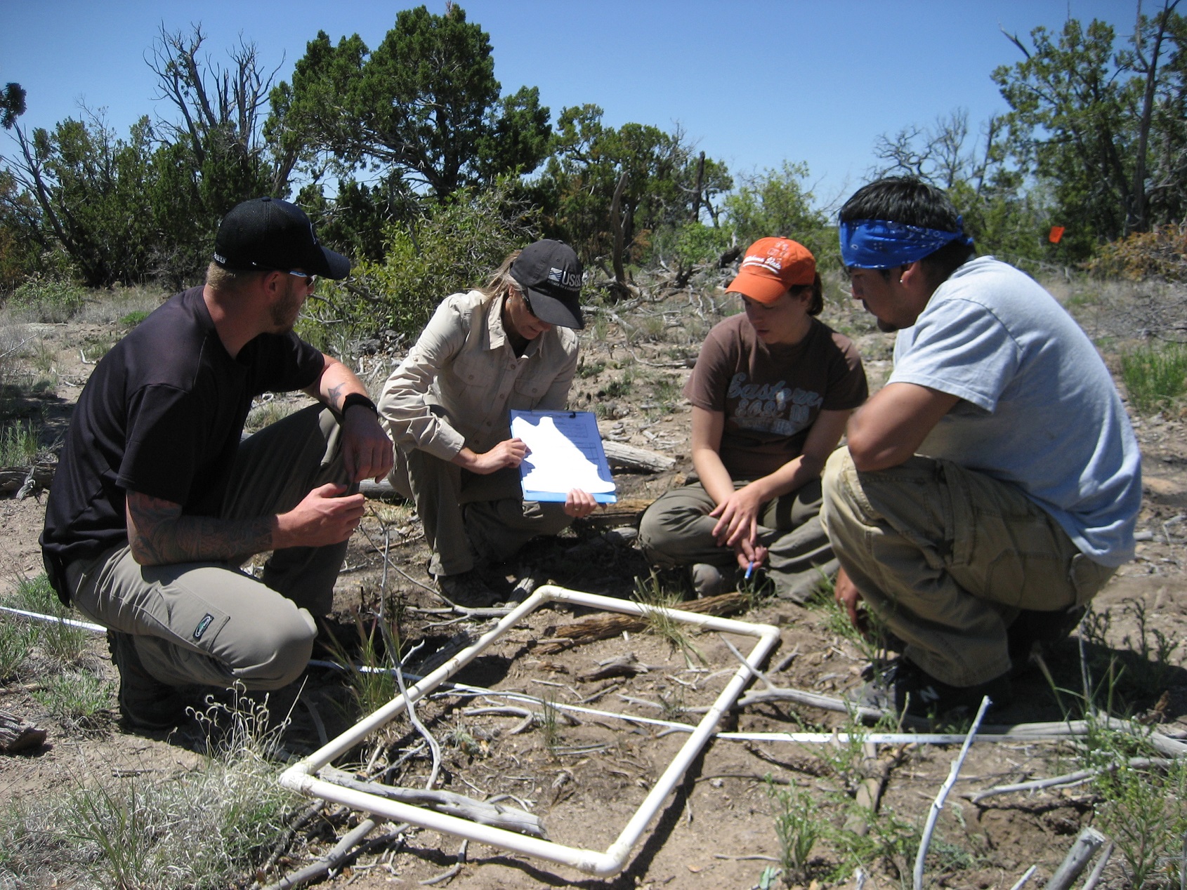 A group of participants working together in a circle on the ground to collect information. 