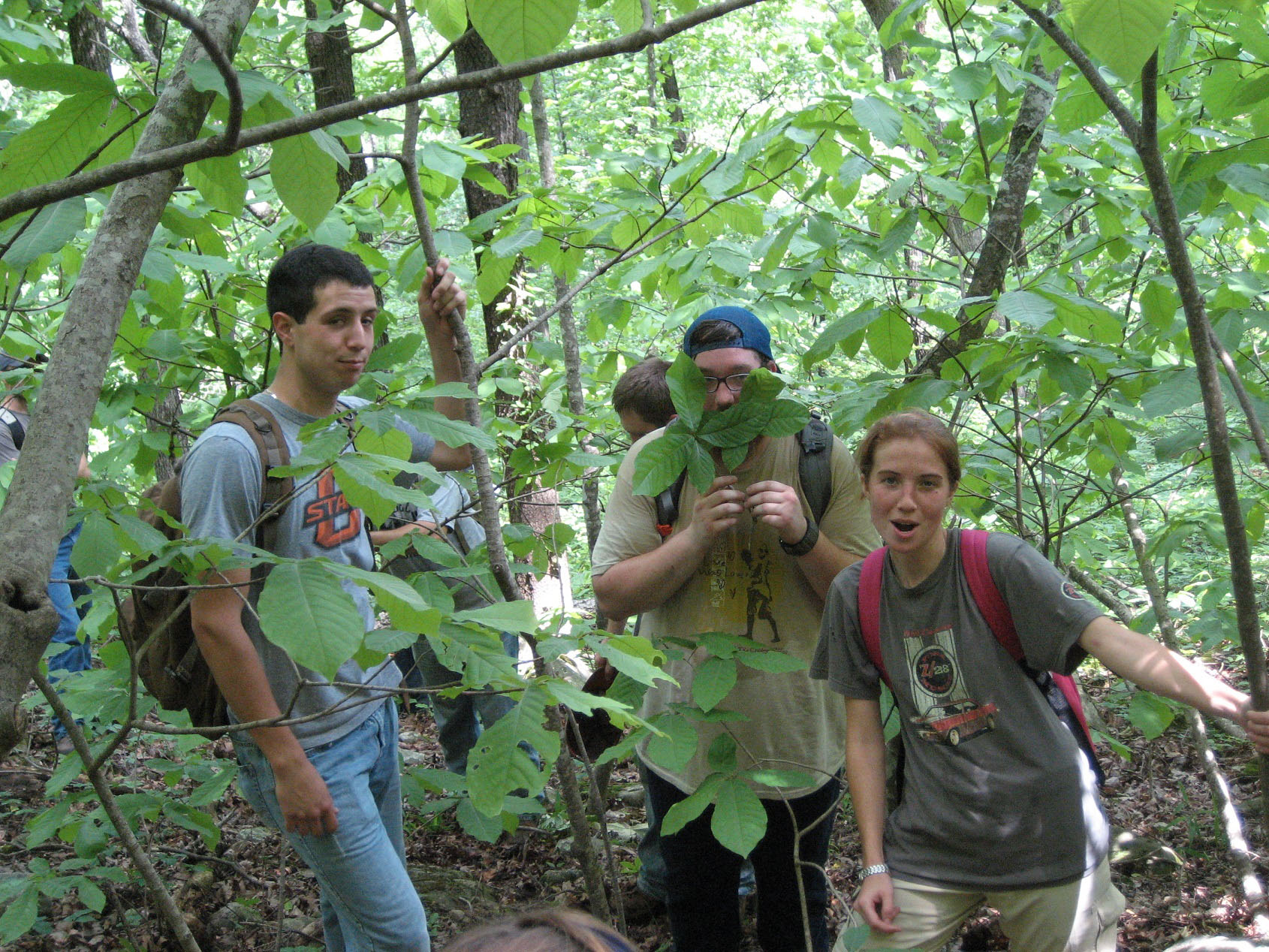 A group of students posing for a photo while walking through the woods. A group of students posing for a photo while walking through the woods.