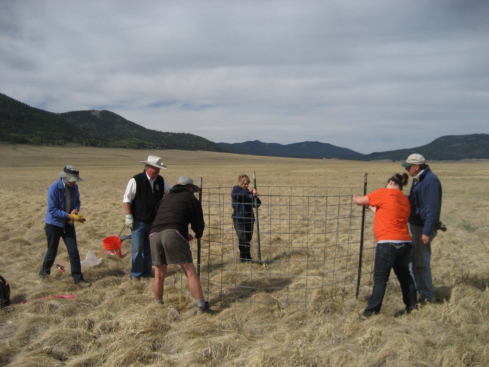 A group of participants putting a fence up in the middle of a valley. A group of participants putting a fence up in the middle of a valley.