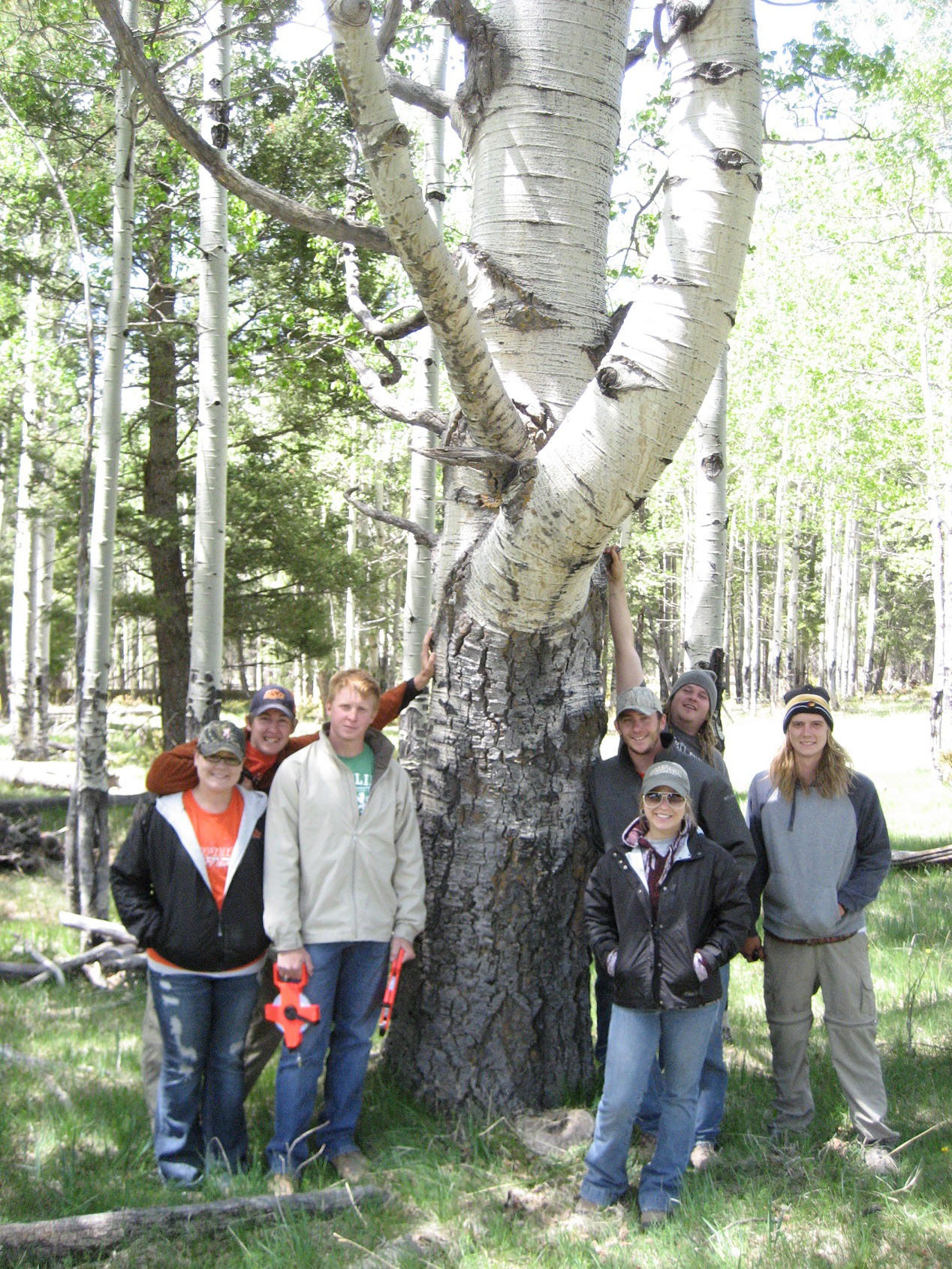 A group of participants standing next to a tree in the woods smiling. A group of participants standing next to a tree in the woods smiling.