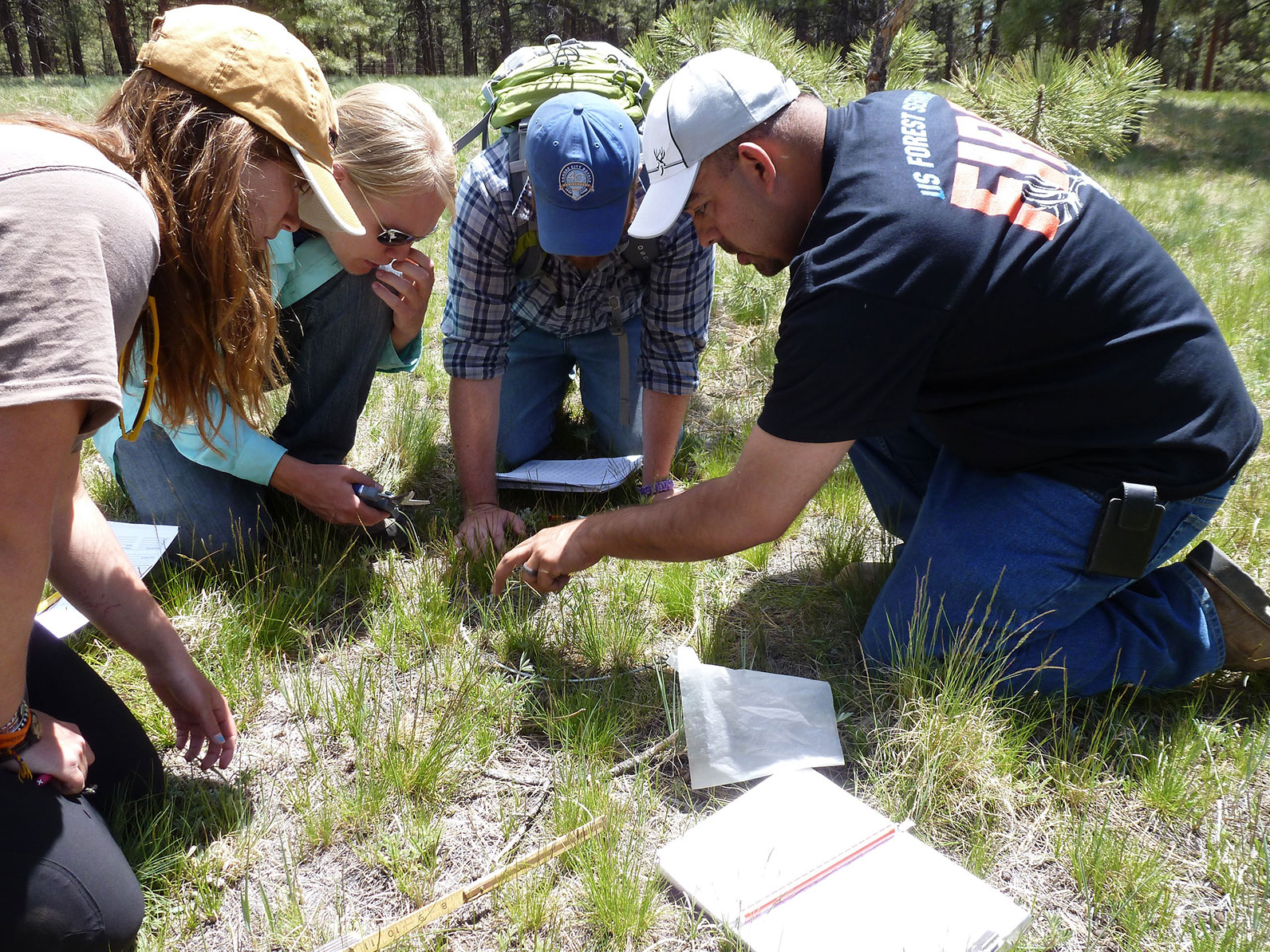 A group of participants working together on the ground collecting information. 