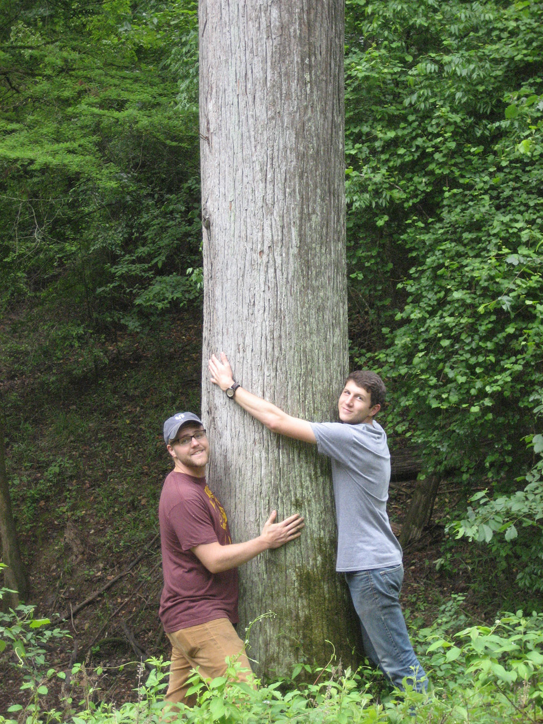 Two participants hugging a large tree in a forest. 