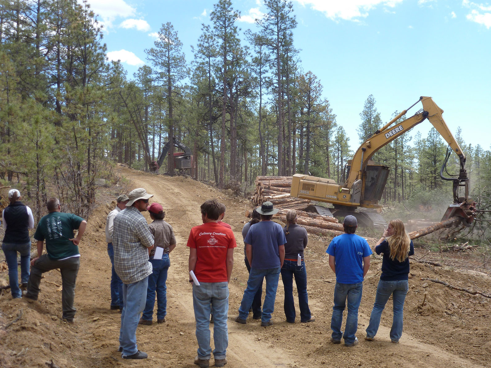 A group of students standing in a forest watching a large backhoe dig. 