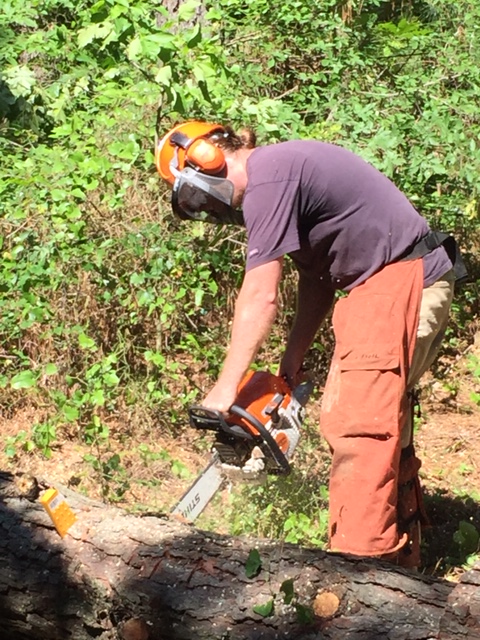 A man in a hardhat cutting a log on the ground with a chainsaw. 