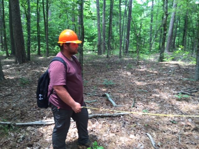 A participant standing in woods with a backpack, hardhat, and measuring tape. 