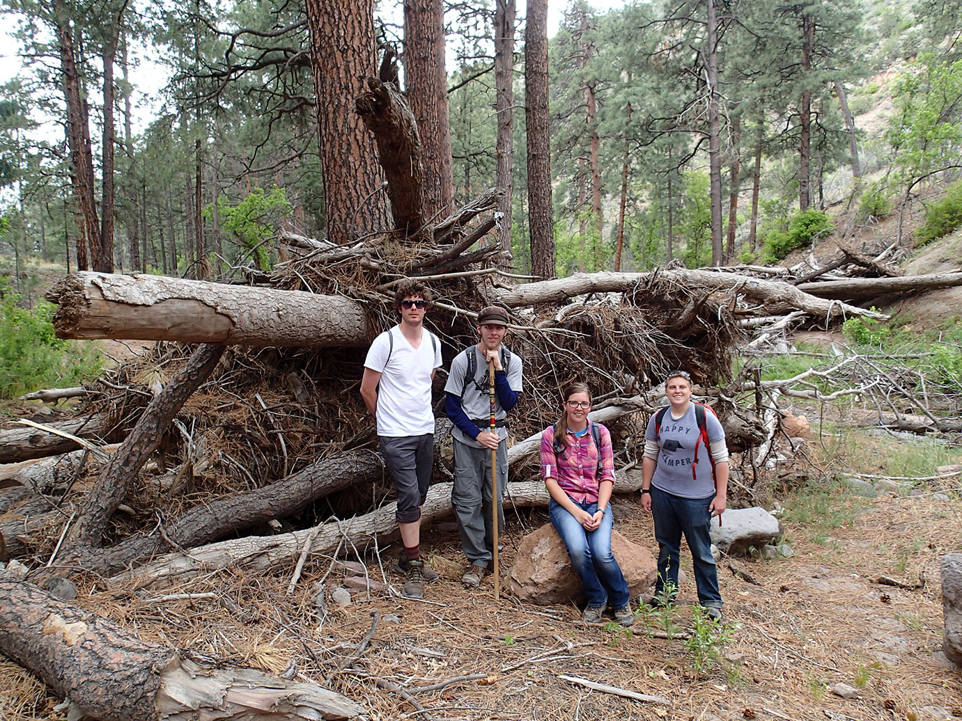 Four people posing for group picture by a fallen down group of trees. 