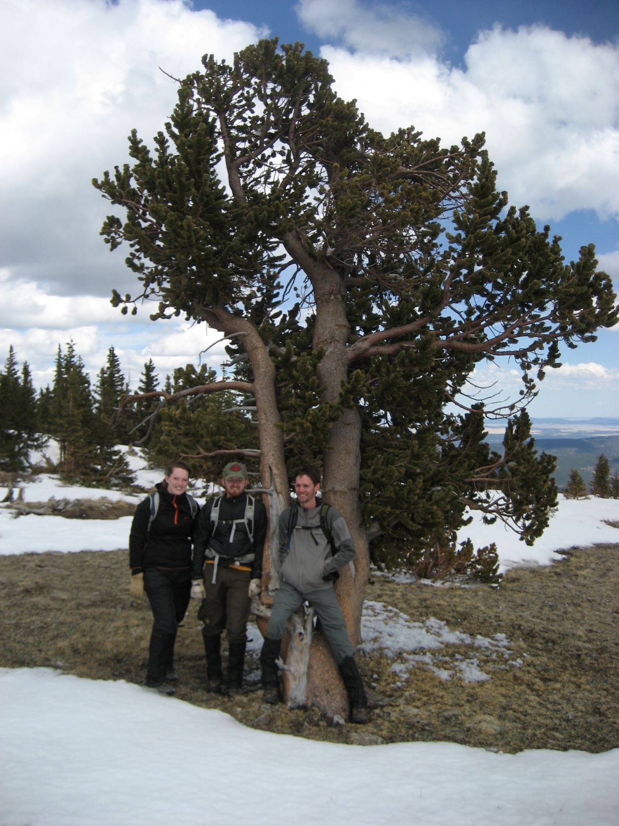 Three people standing by a tree in a snowy woods. Three people standing by a tree in a snowy woods.