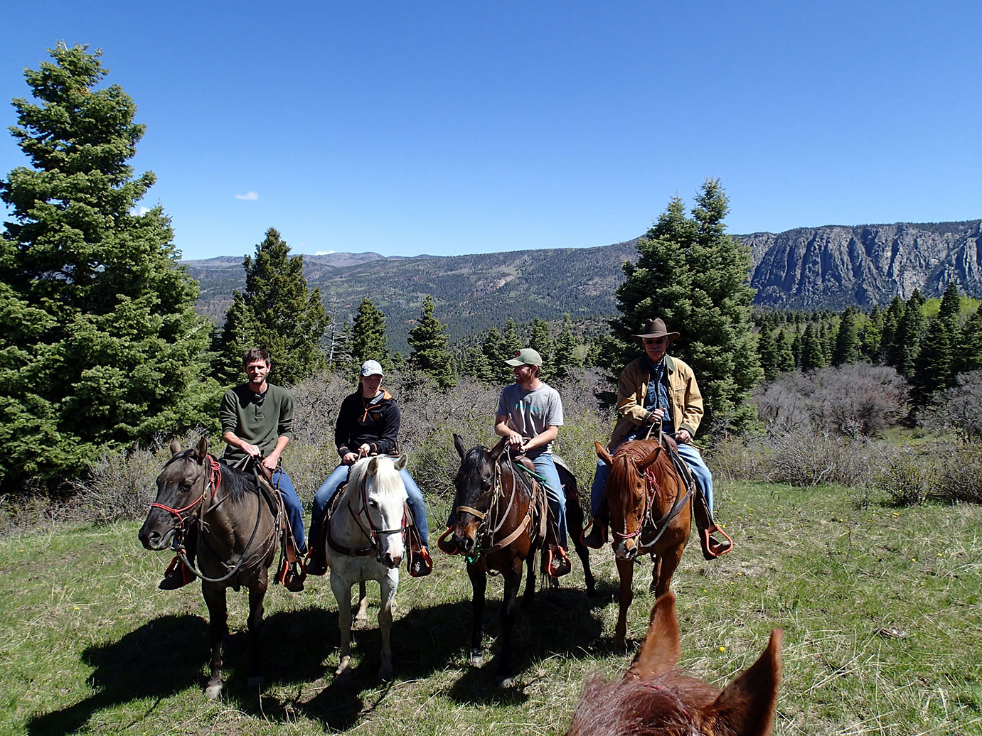 A group photo of four people on horses in a mountain range. A group photo of four people on horses in a mountain range.