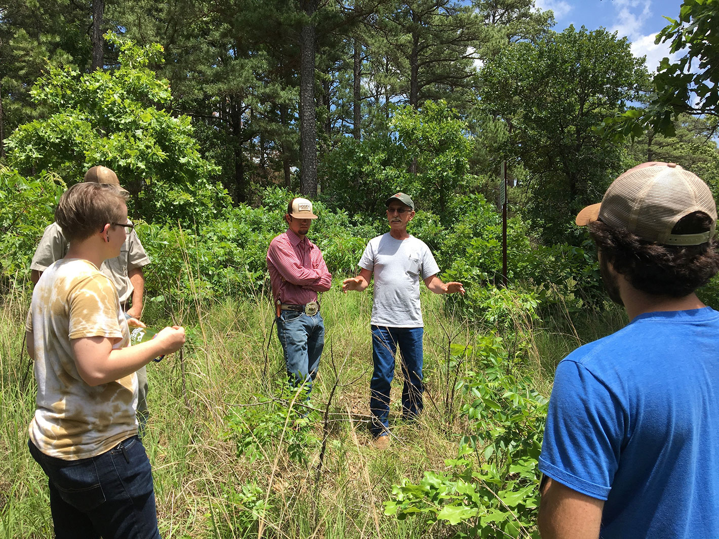 A group of four individuals standing in a forest recieving instruction from a professor.