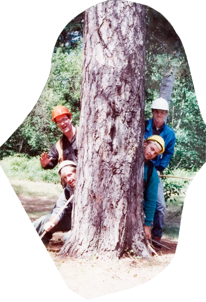 Four students in hardhats peering over a tree trunk.