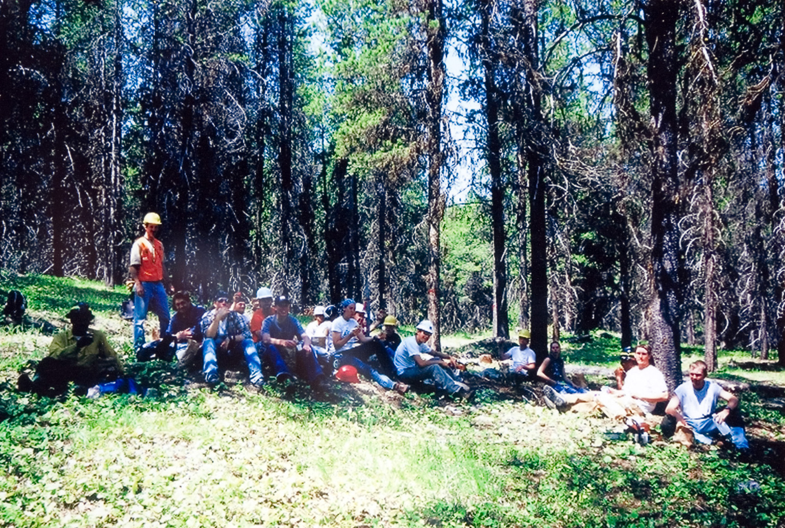 Students resting on the grass in the forest.