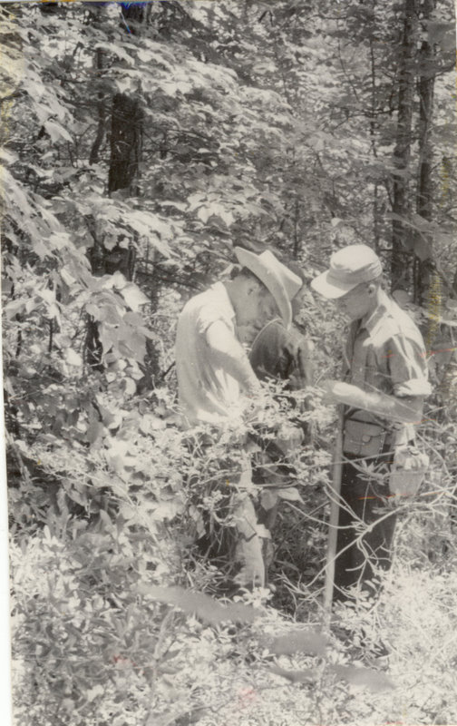 Students are standing behind a tree checking their equipment.