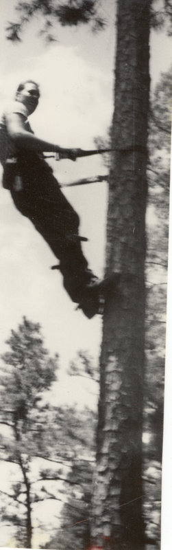 A man is holding on to the tree straps as he is strapped by the waist to a tree.