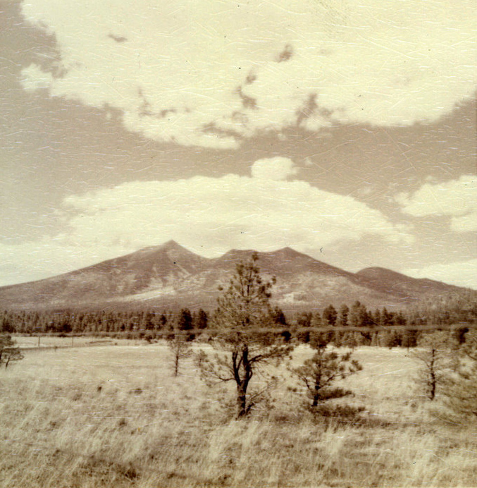 A grassy field stretches out with a mountain in the distance. A grassy field stretches out with a mountain in the distance.