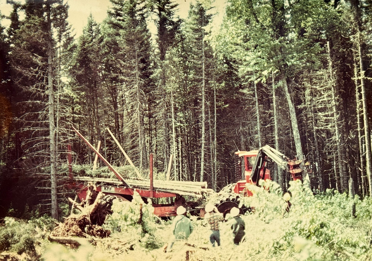 Two big red machines working in a forest cutting trees with three people watching. Two big red machines working in a forest cutting trees with three people watching.