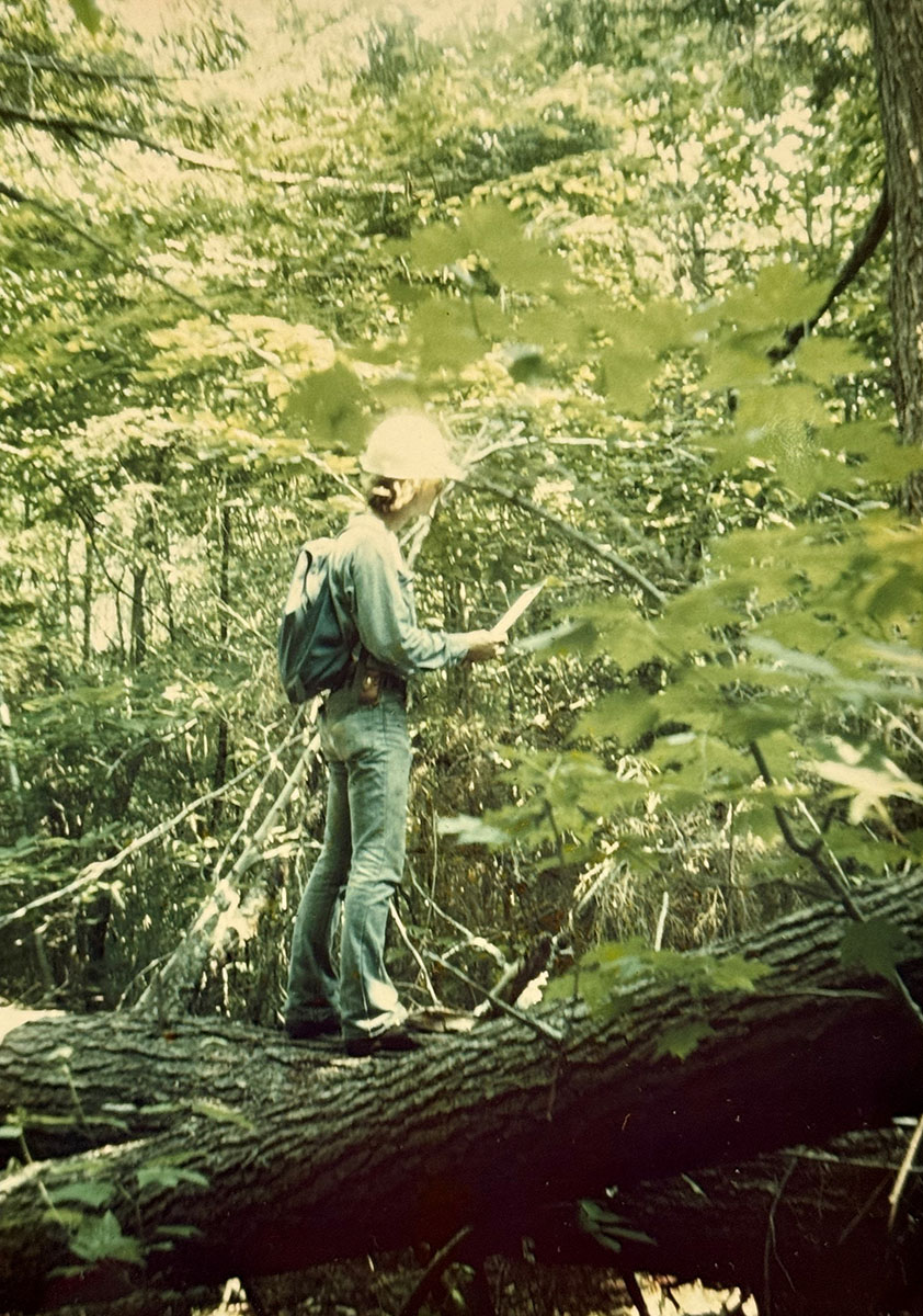 A person standing on a big log in the middle of the forest. A person standing on a big log in the middle of the forest.