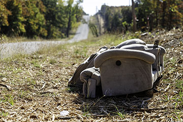 Environmental law enforcement is the focus of a free training opportunity