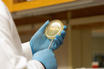 AMPing Up Agriculture: Ferguson College departments come together for youth microbiome research