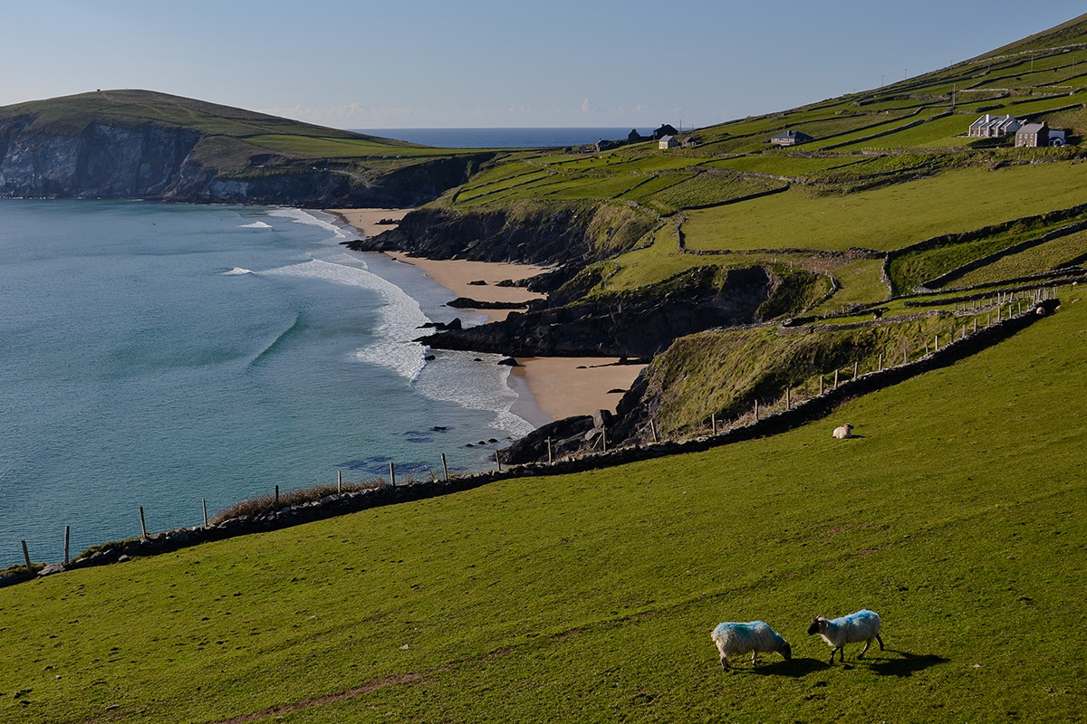Dingle Bay on the west coast of Ireland.