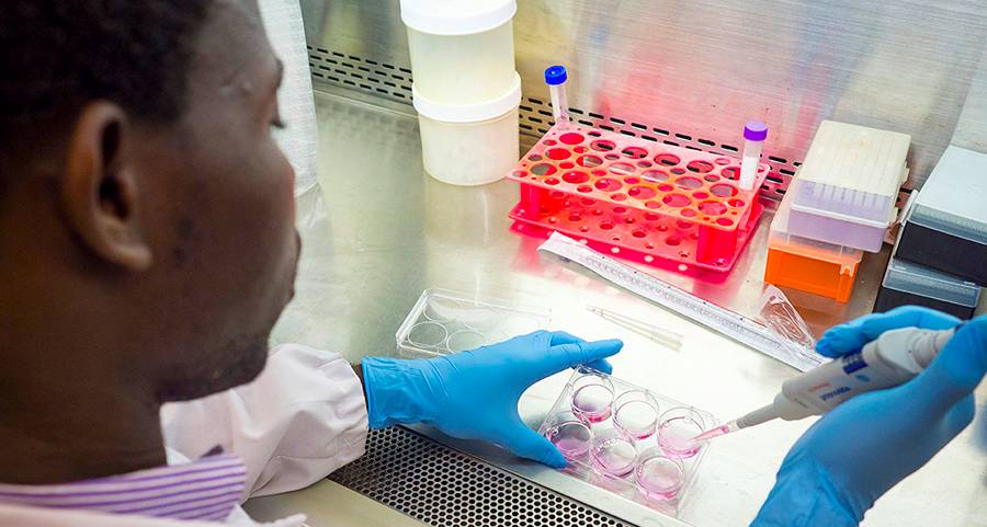Undergraduate student conducts research inside a lab. Undergraduate student conducts research inside a lab.